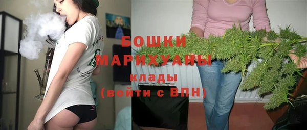 ALPHA-PVP Осинники