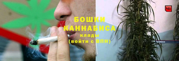 ALPHA-PVP Осинники