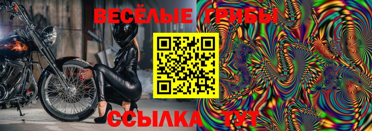 Галлюциногенные грибы прущие грибы  Вход с VPN  Большой Камень 