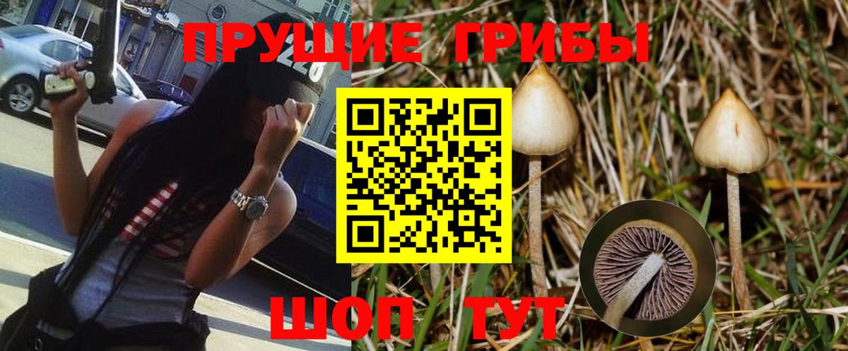 Галлюциногенные грибы ЛСД Большой Камень