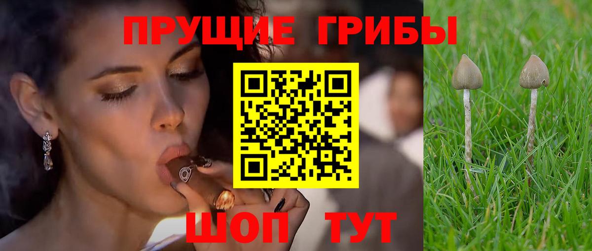Псилоцибиновые грибы MAGIC MUSHROOMS Большой Камень